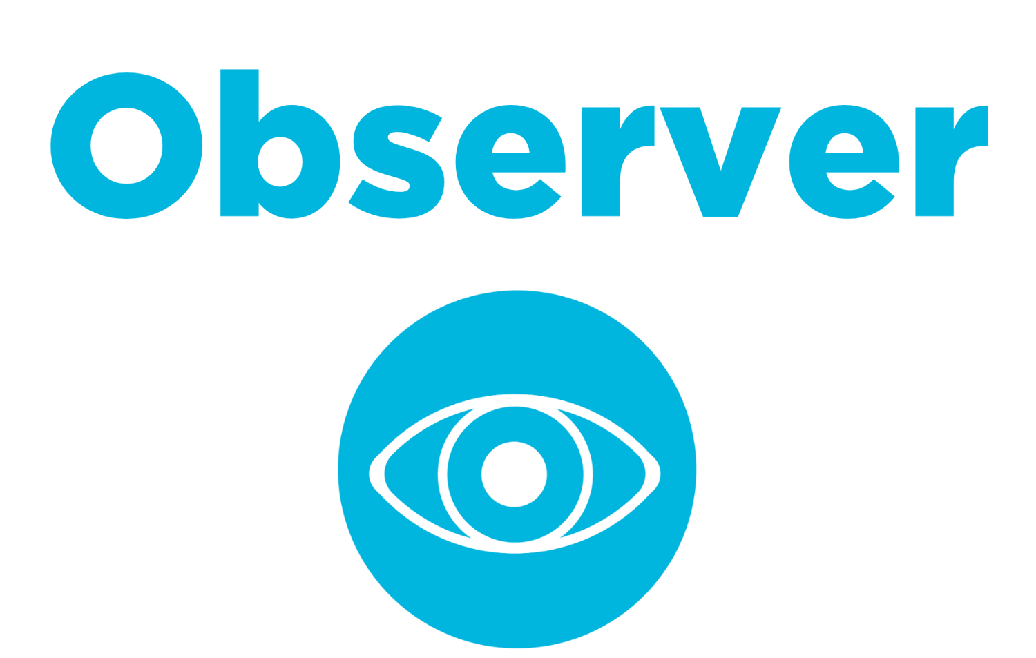 Observer icon bottom large